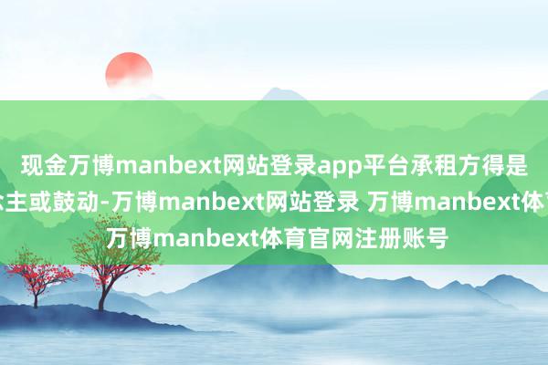 现金万博manbext网站登录app平台承租方得是法定代表东说念主或鼓动-万博manbext网站登录 万博manbext体育官网注册账号